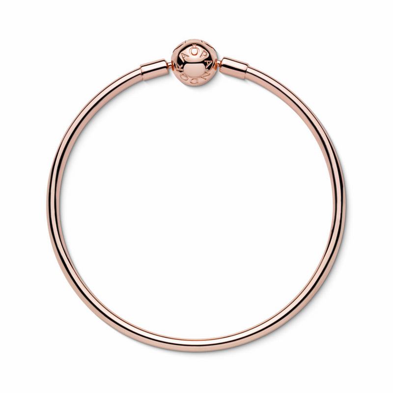 Pandora Rose™ Bangle Bracelet Online NZ (526378-SXW)